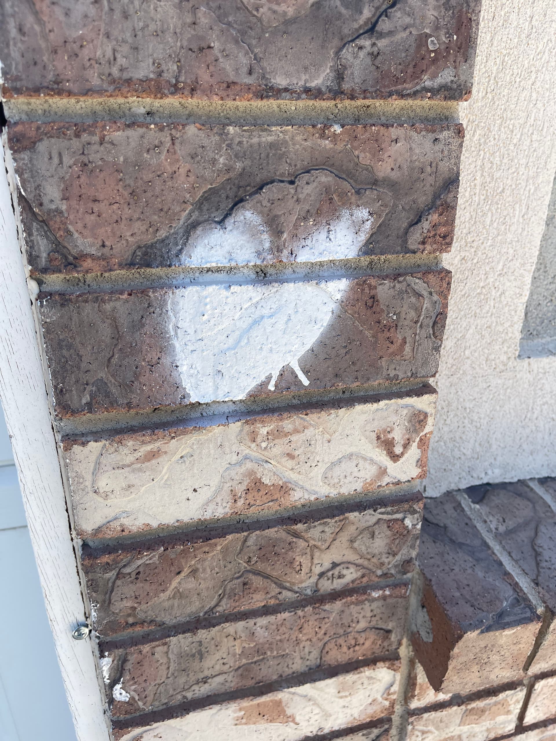 Gallery photos for Spray Paint on Brick and Pavers - Cleaned Up and Gone: Image #3