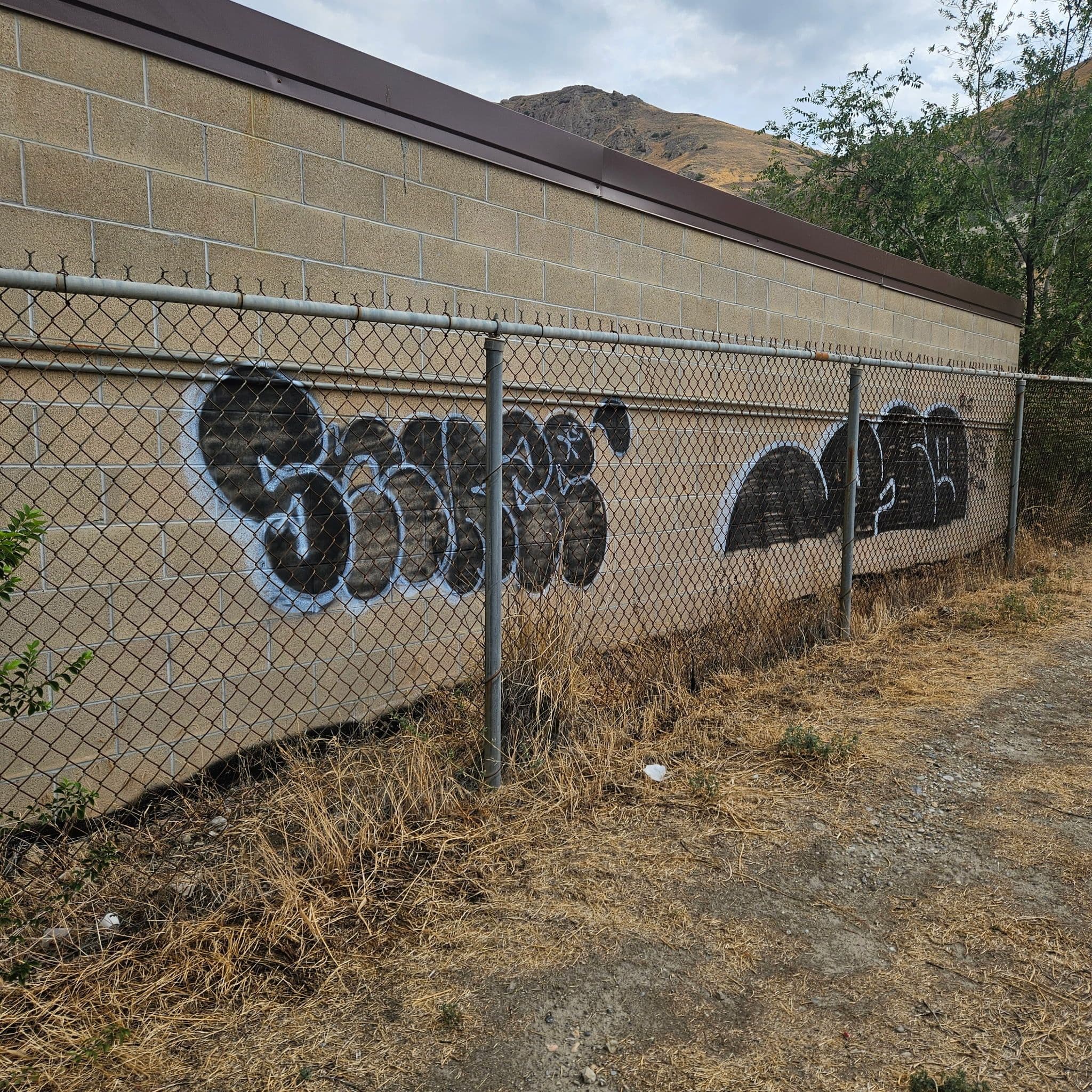 Project Graffiti Removal at a Utah Storage Facility Wall image
