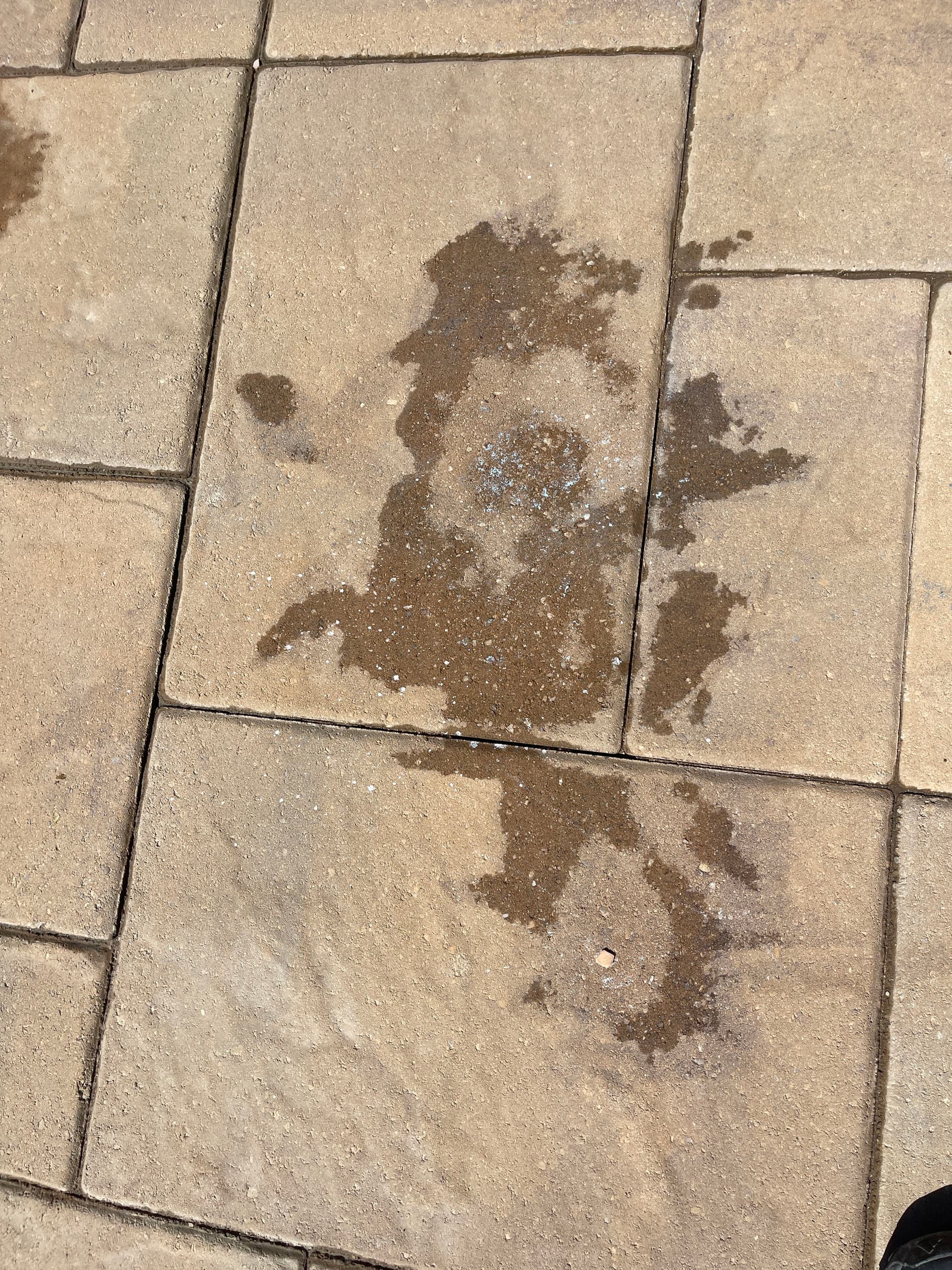 Gallery photos for Spray Paint on Brick and Pavers - Cleaned Up and Gone: Image #5