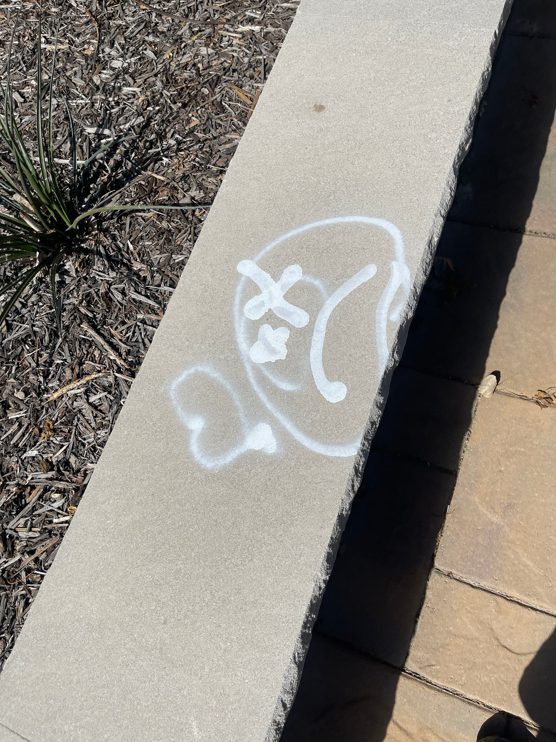 Spray Paint on Brick and Pavers - Cleaned Up and Gone image