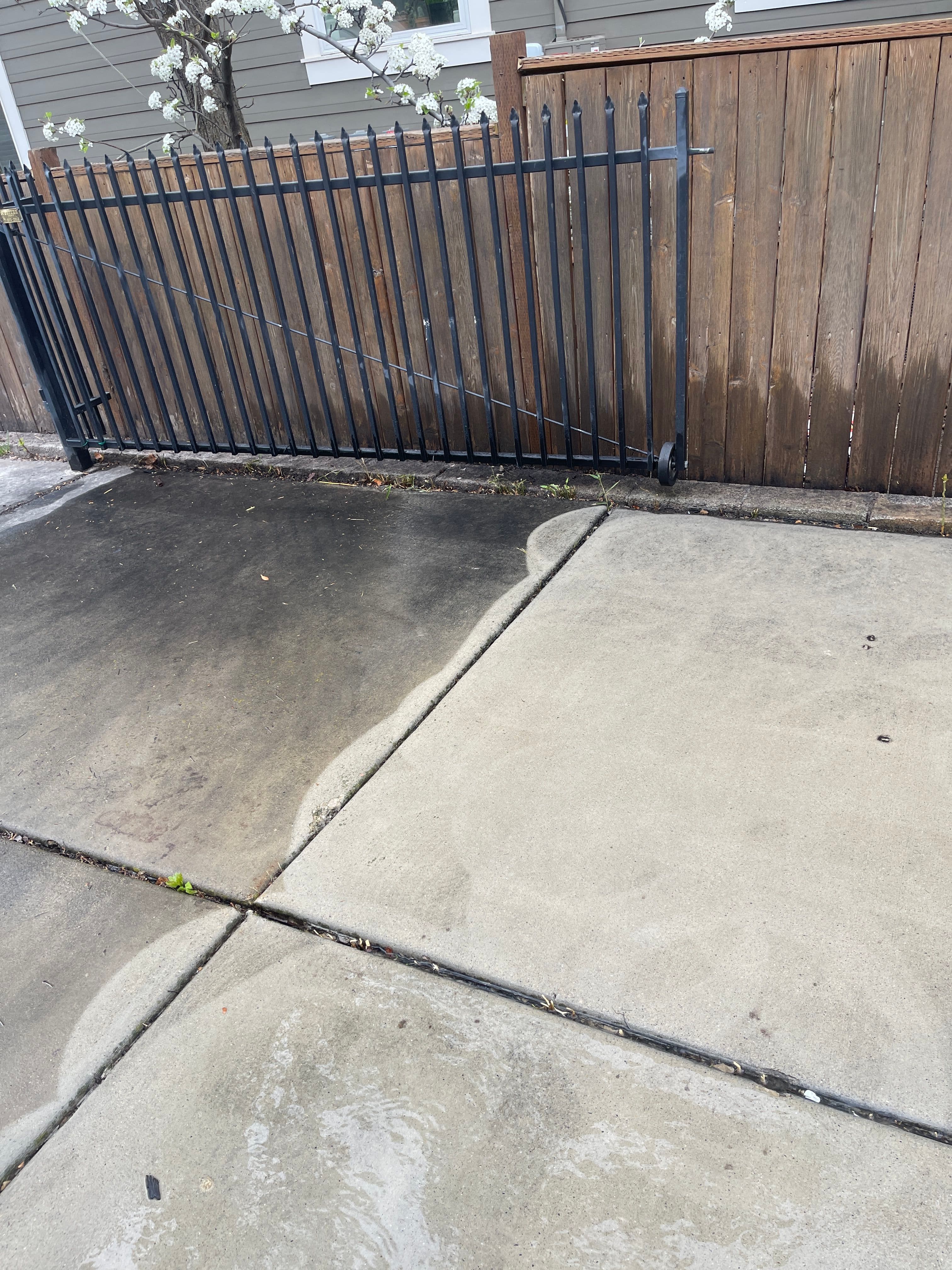 Project Driveway Pressure Washing on Princeton Ave image