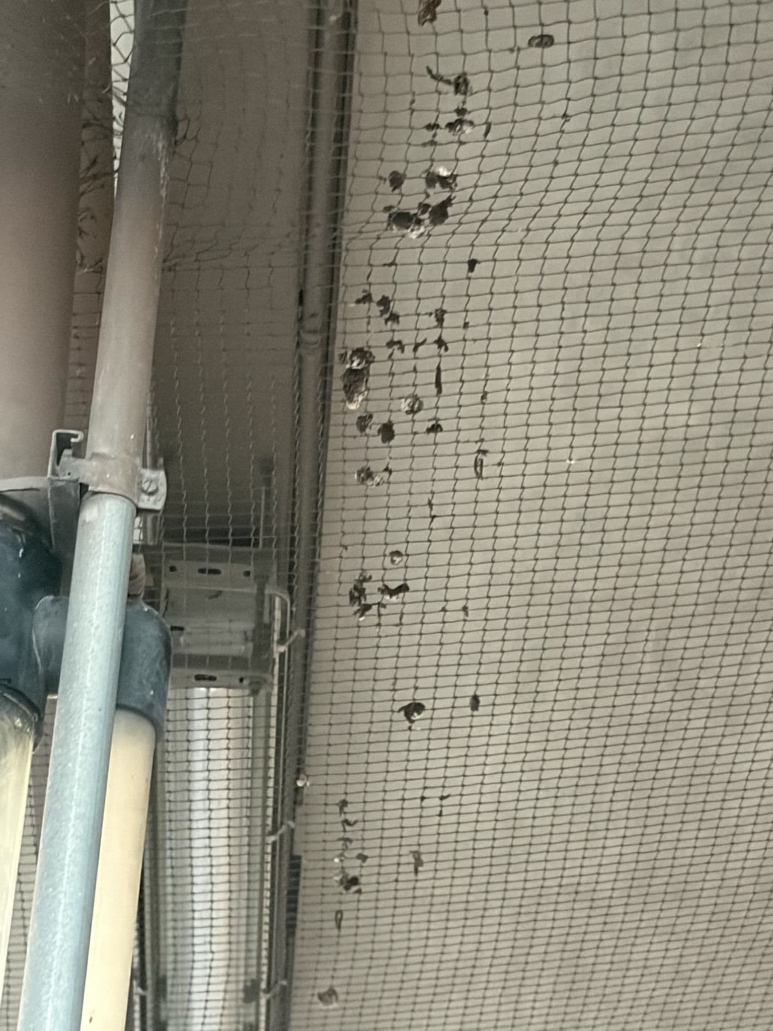 Gallery photos for Pigeon Mess Cleaned Off Pipes and Overhangs in Taylorsville: Image #2