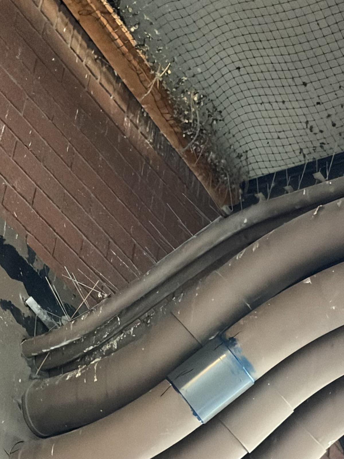 Gallery photos for Pigeon Mess Cleaned Off Pipes and Overhangs in Taylorsville: Image #3