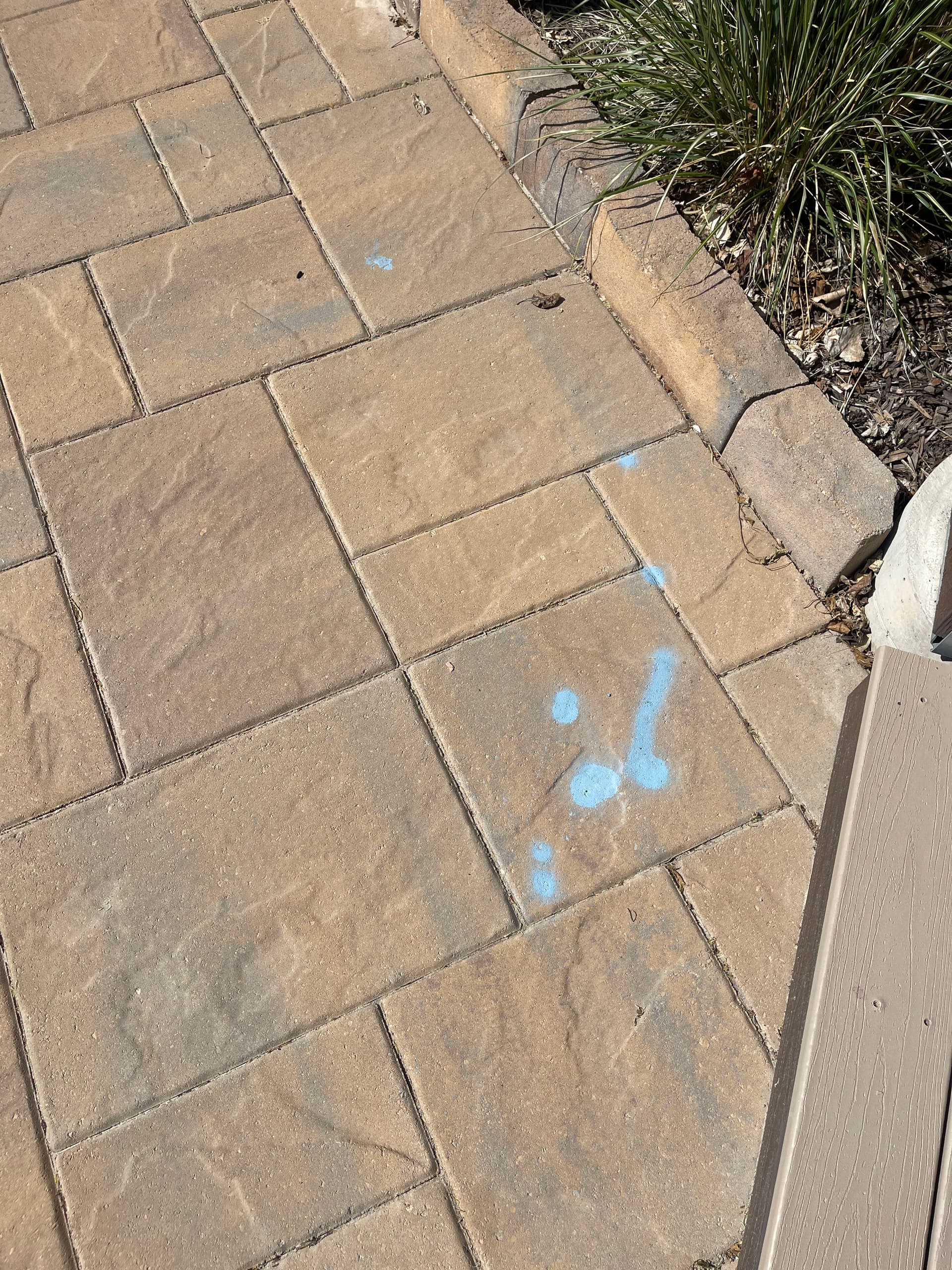 Gallery photos for Spray Paint on Brick and Pavers - Cleaned Up and Gone: Image #1