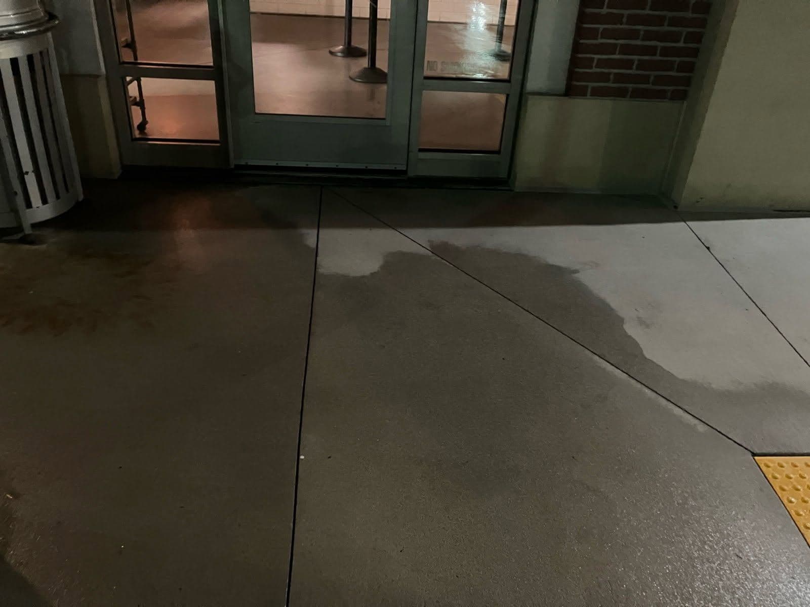 Gallery photos for Sandy Village Baker Sparkles After Night Wash: Image #2