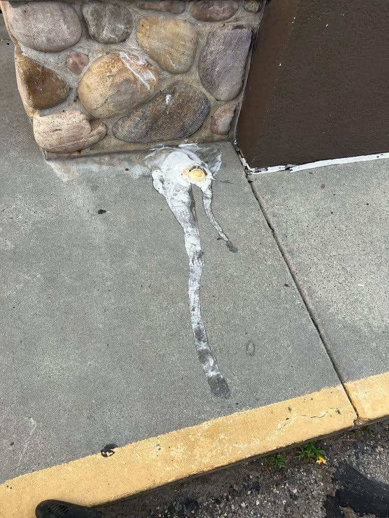 Gallery photos for Transforming Entrances with Expert Pressure Washing: Image #1