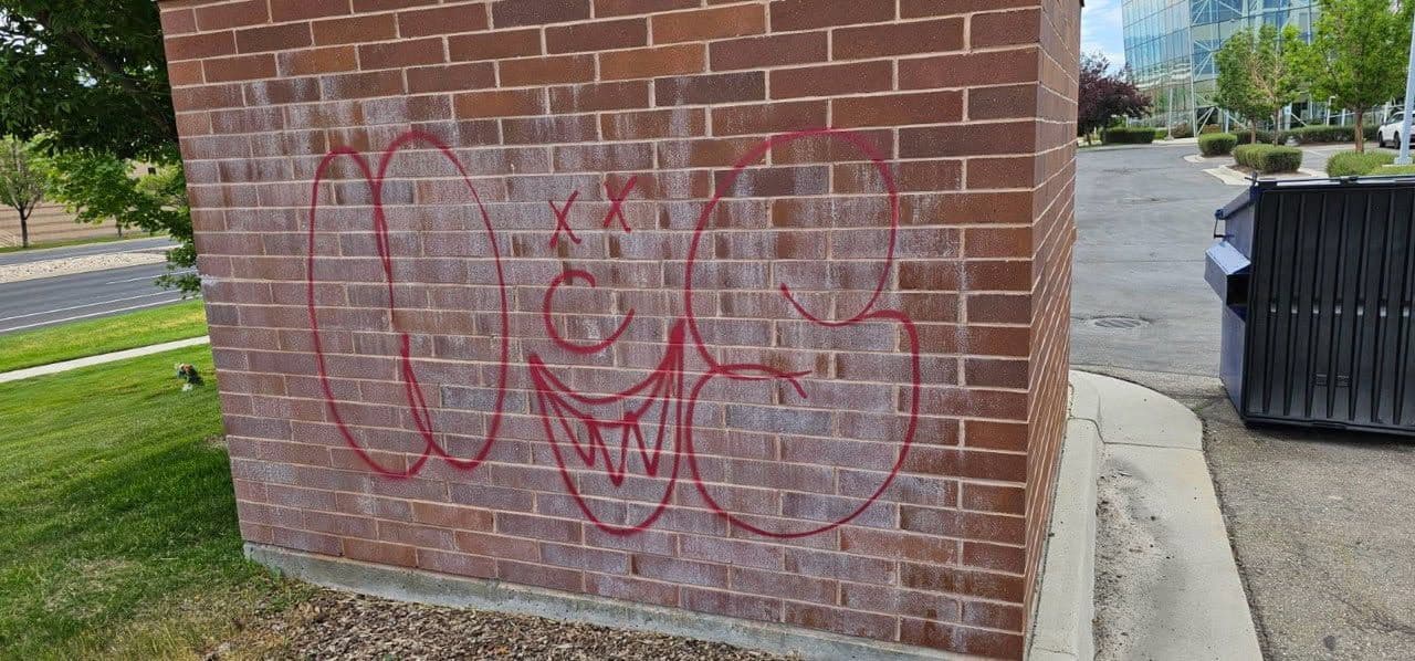 Graffiti Removal Success at Cyprus Credit Union image