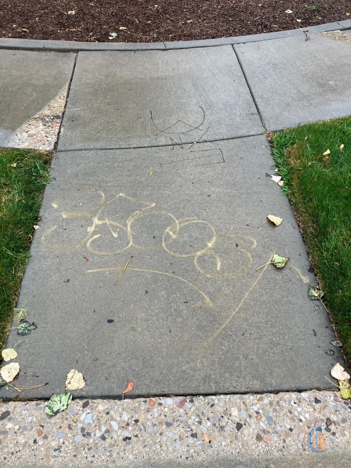 3 Graffiti Removal with Pressure Power Washing by Go Wash Utah